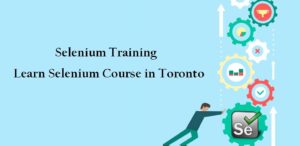 online selenium training